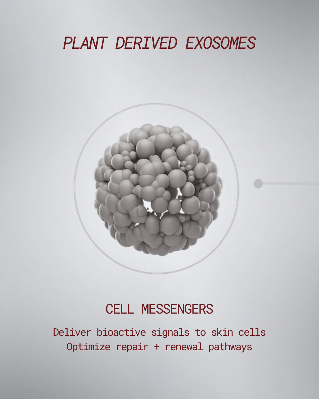 Exo-Vion Peel Pads (preorder)