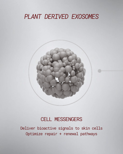 Exo-Vion Peel Pads (preorder)